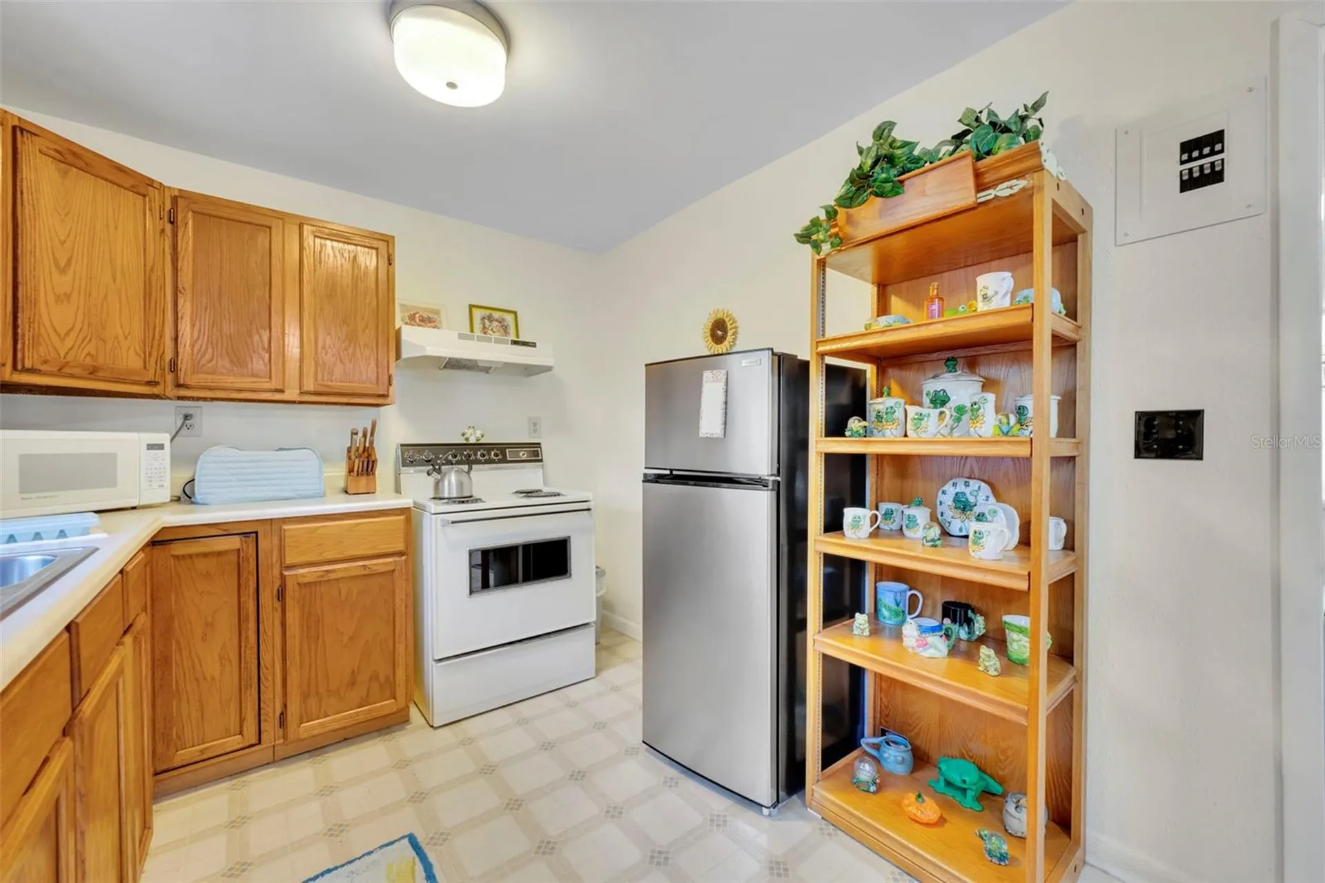 26721 Bloomfield Avenue Yalaha FL 34797