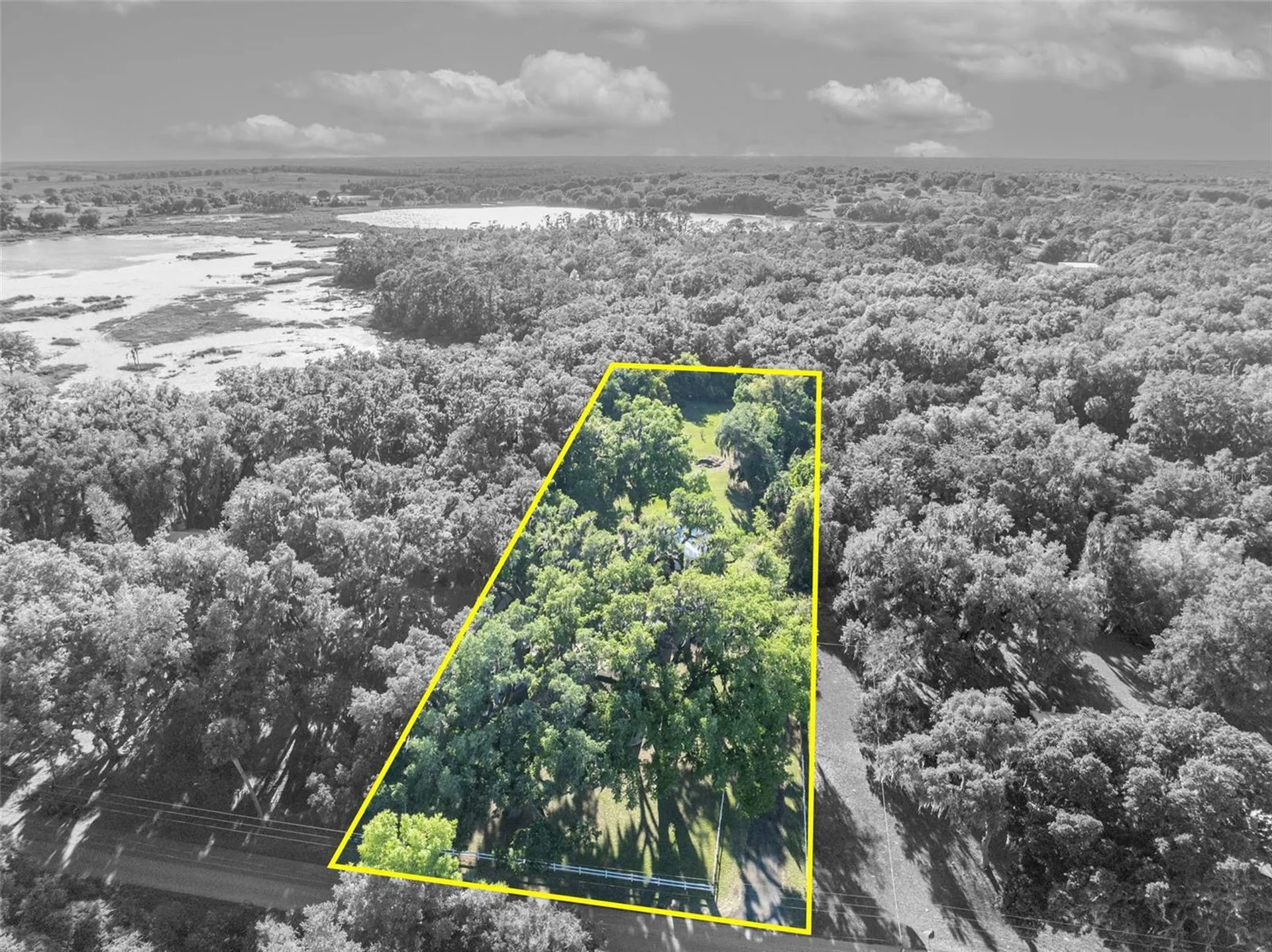 26721 Bloomfield Avenue Yalaha FL 34797