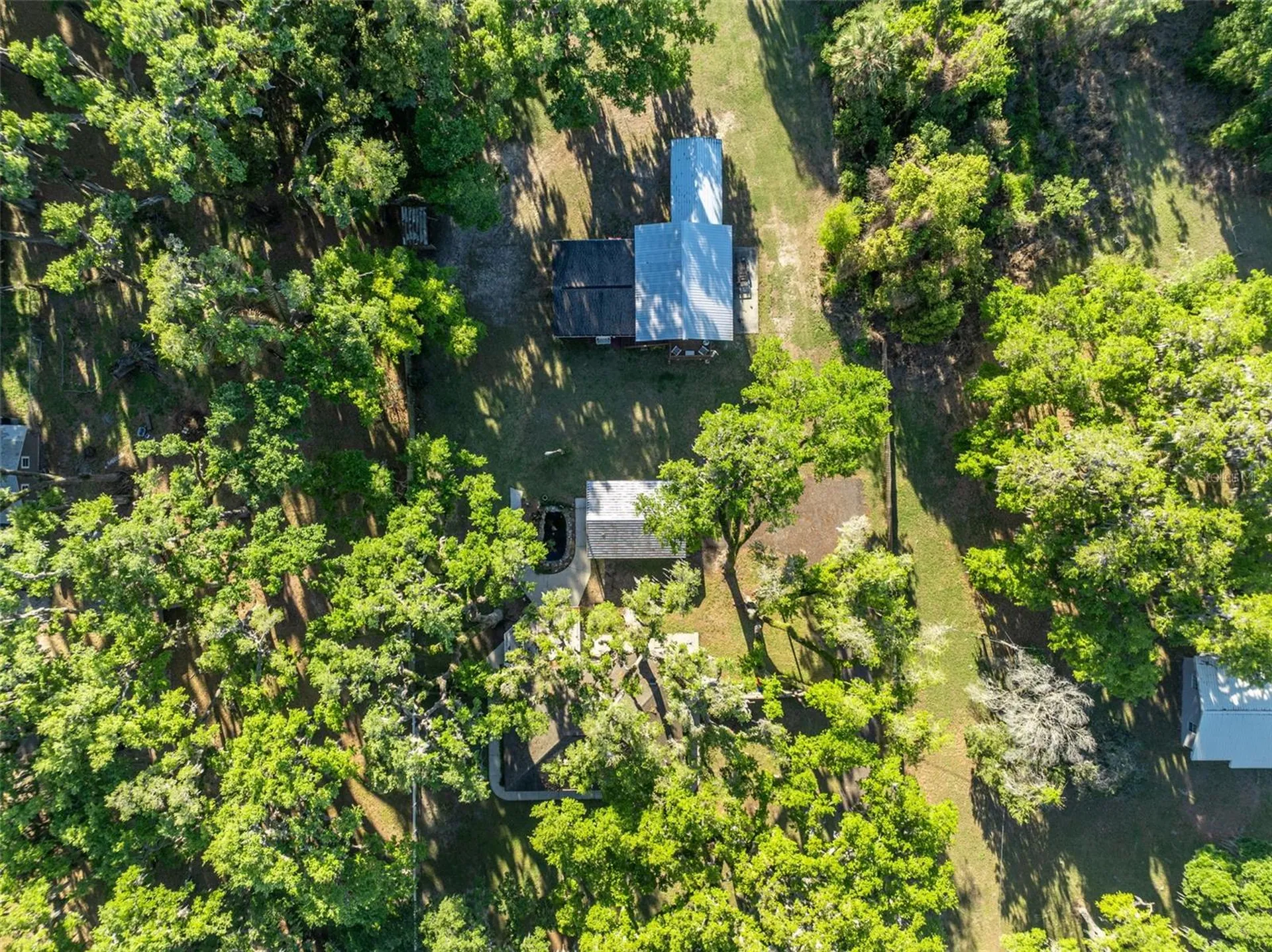 26721 Bloomfield Avenue Yalaha FL 34797