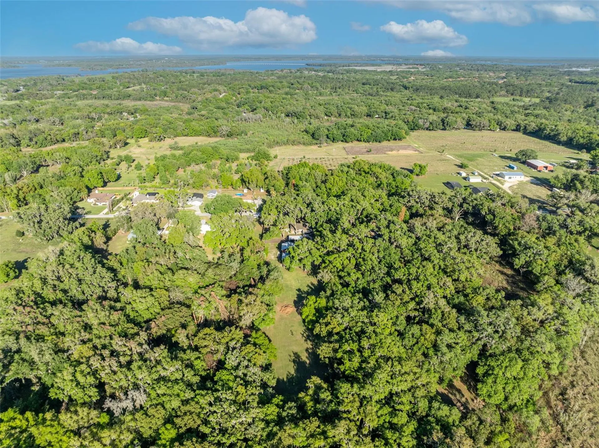 26721 Bloomfield Avenue Yalaha FL 34797