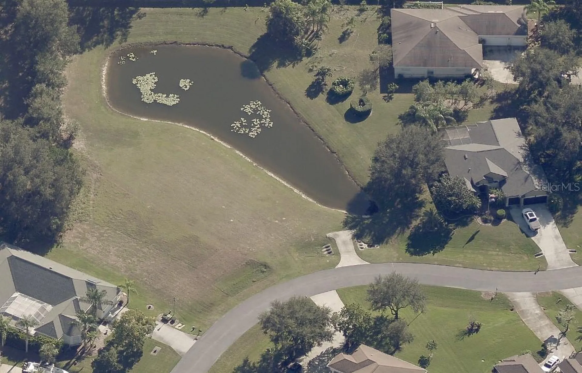19915 Dolores Ann Court Lutz FL 33549