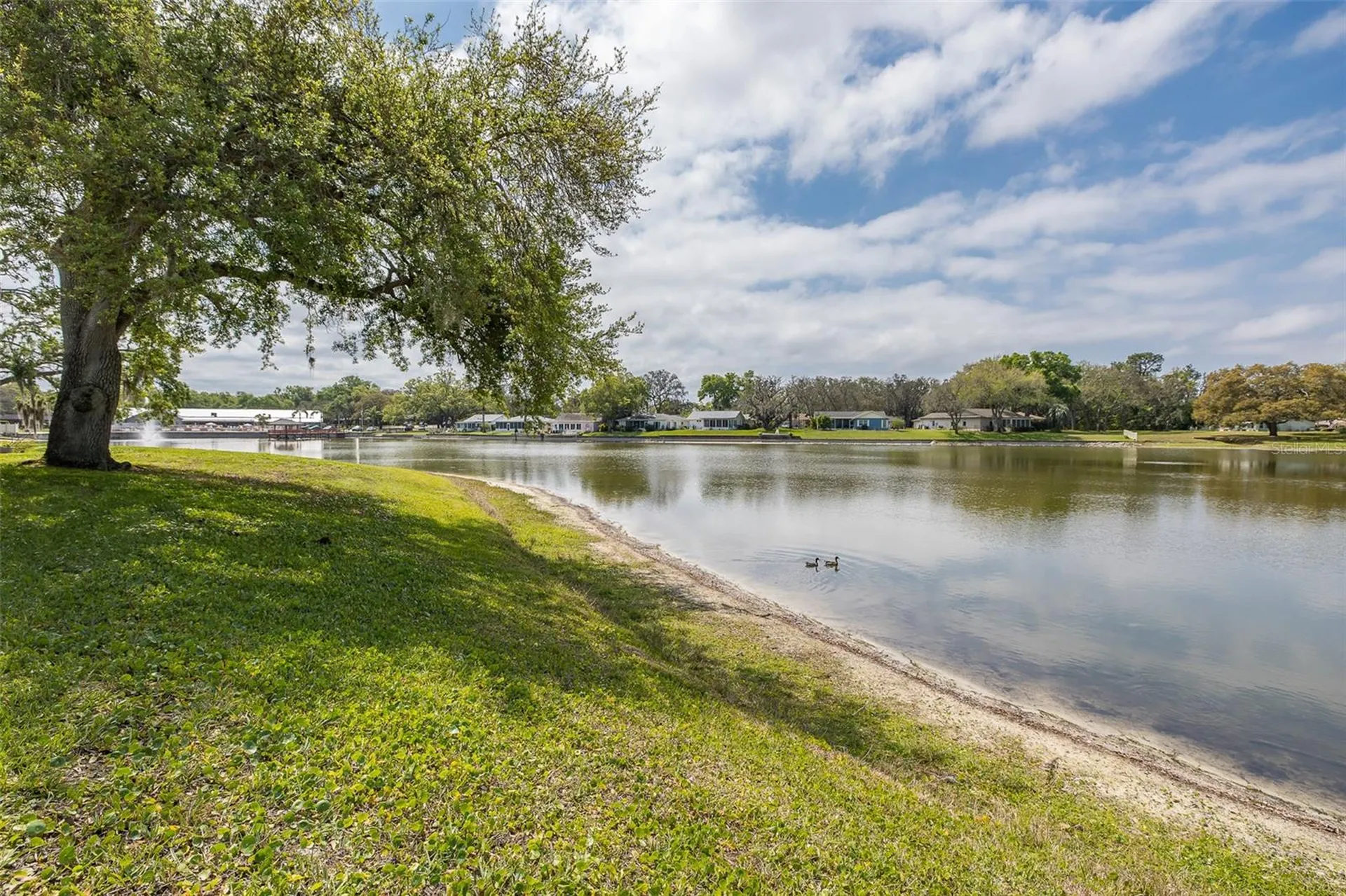 8330 Divot Way Port Richey FL 34668