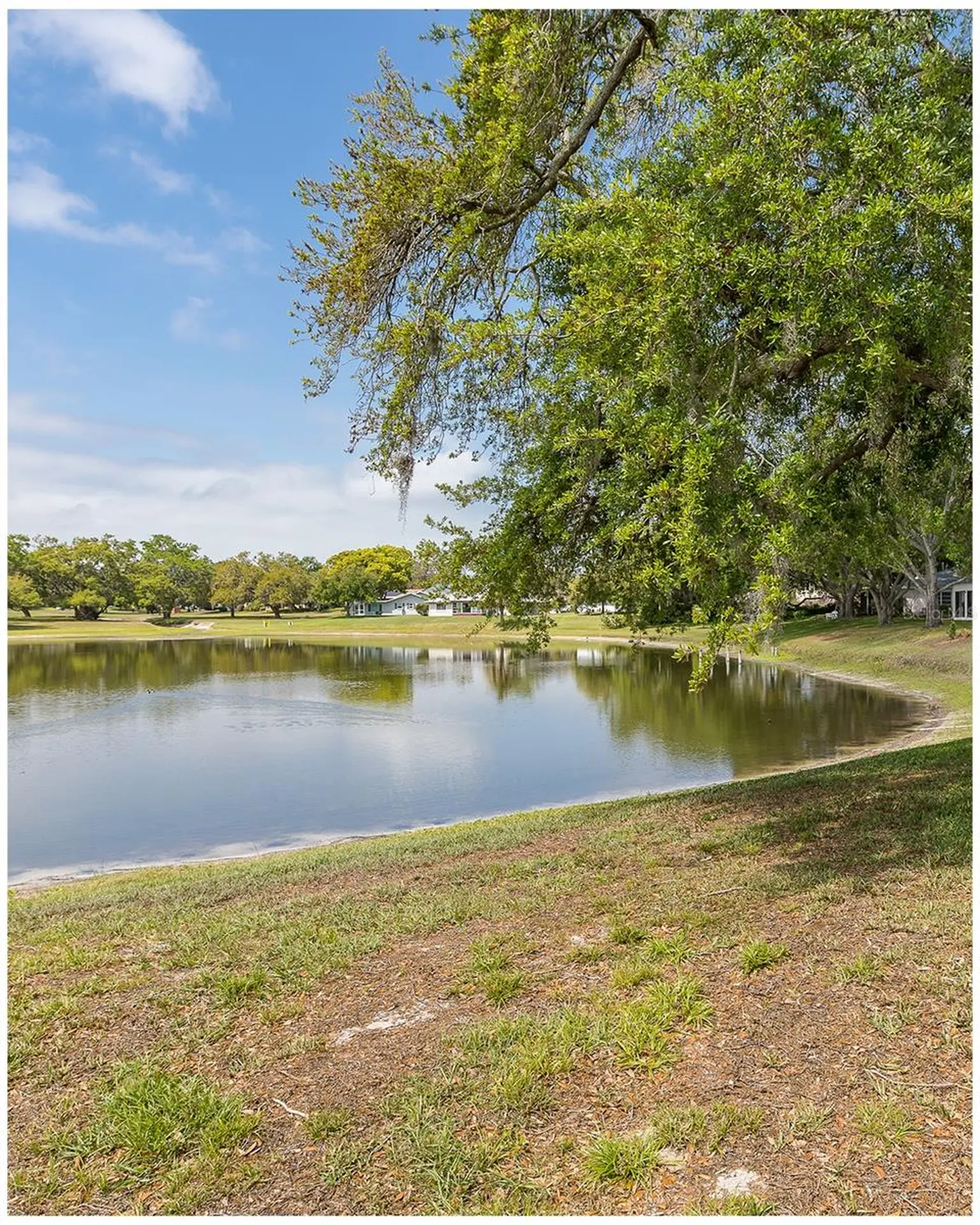 8330 Divot Way Port Richey FL 34668