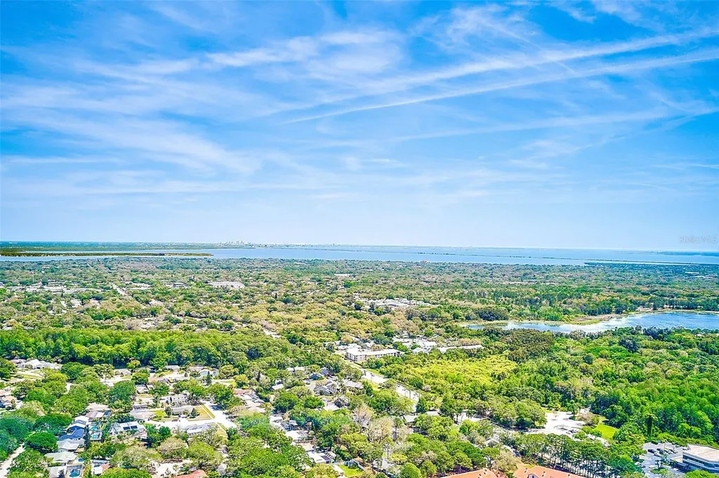 2593 Countryside Boulevard Clearwater FL 33761
