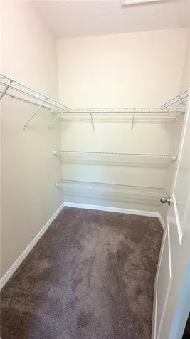 15334 Murcott Blossom Boulevard Winter Garden FL 34787