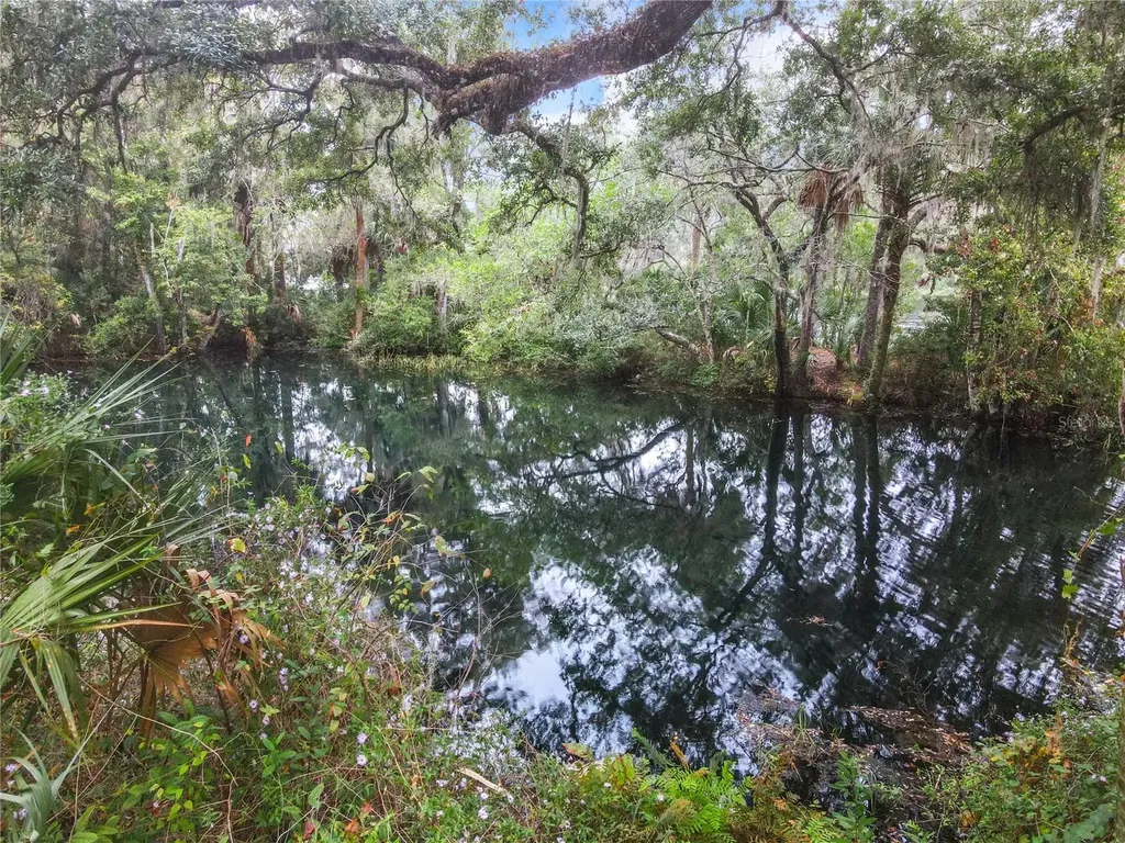 9620 SW 194th Circle Dunnellon FL 34432