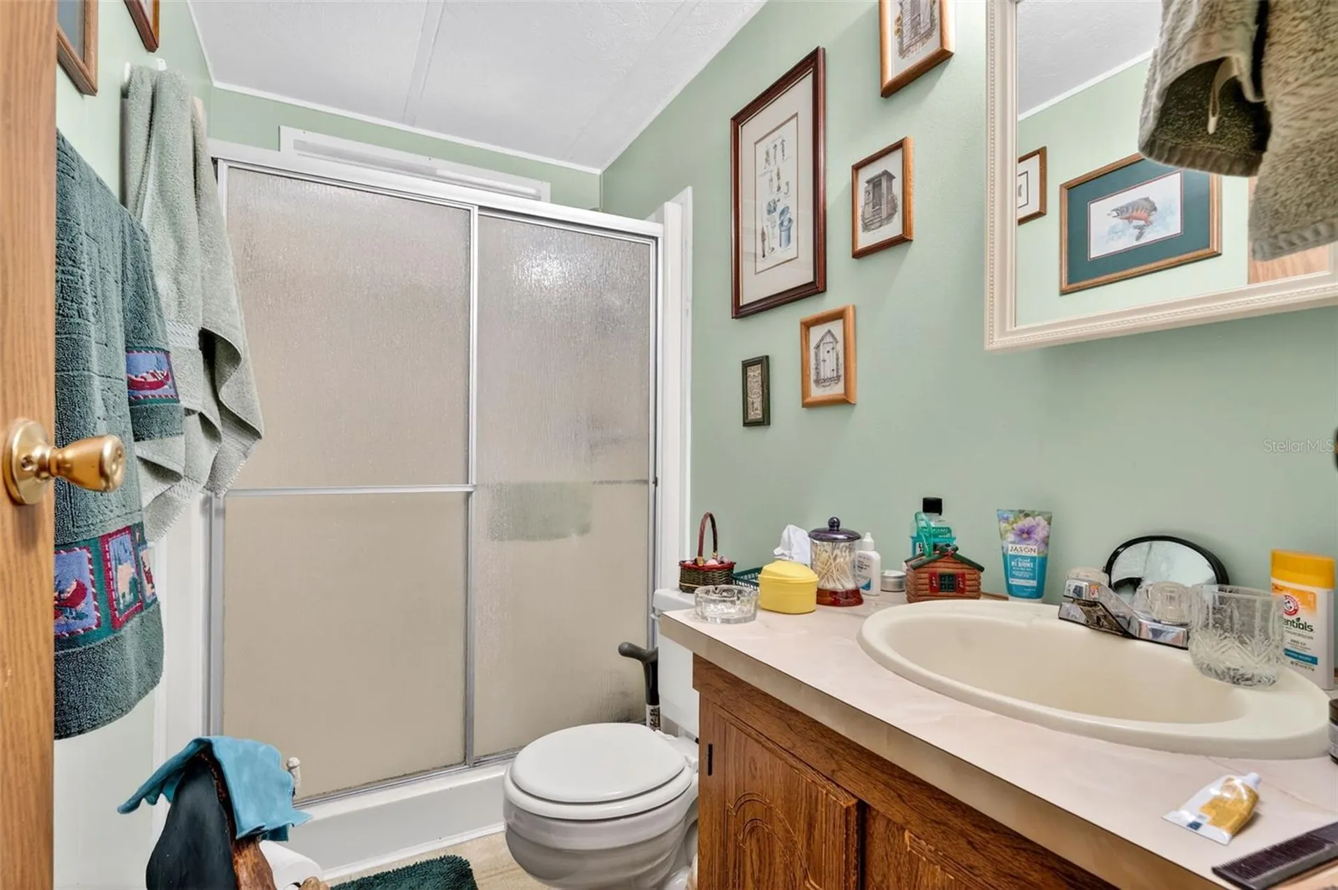 10510 Bay Hills Circle Thonotosassa FL 33592