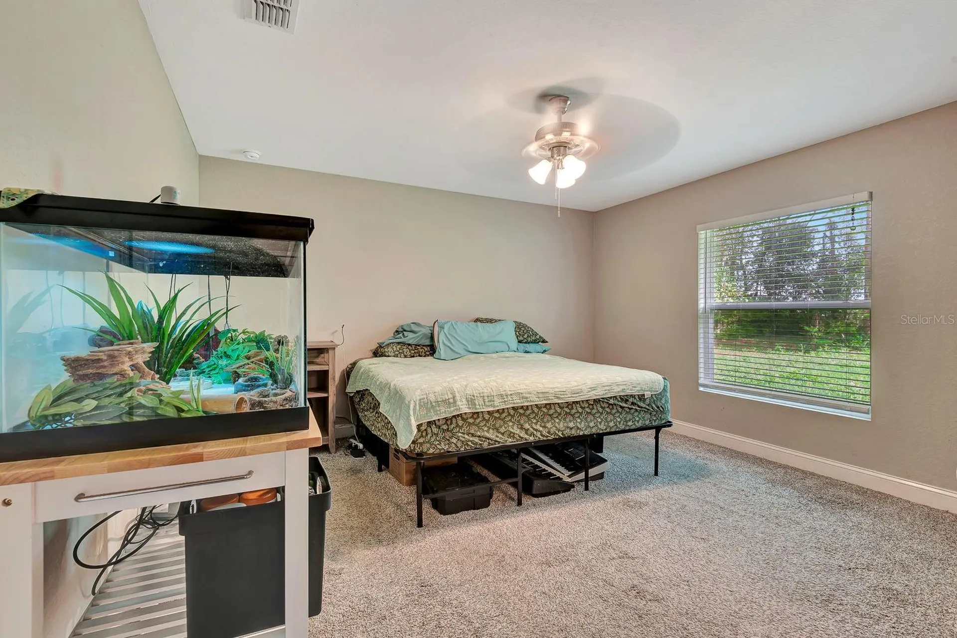 1943 W Elliott Street Lakeland FL 33805