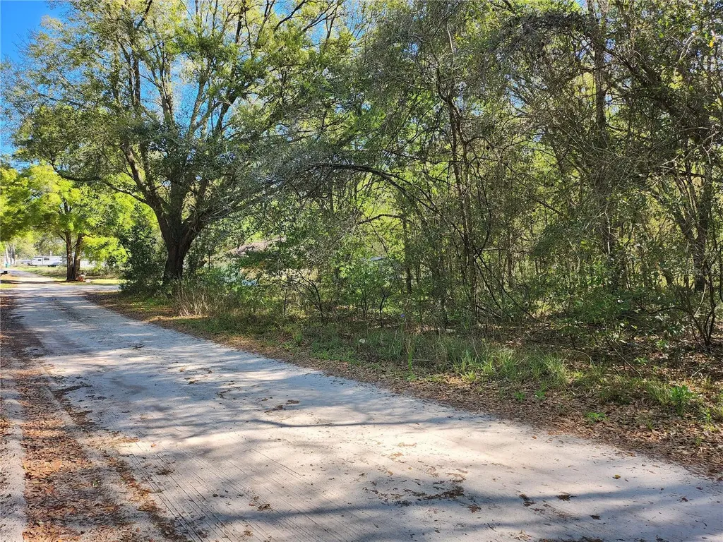 Tbd SE 36th Court Summerfield FL 34491