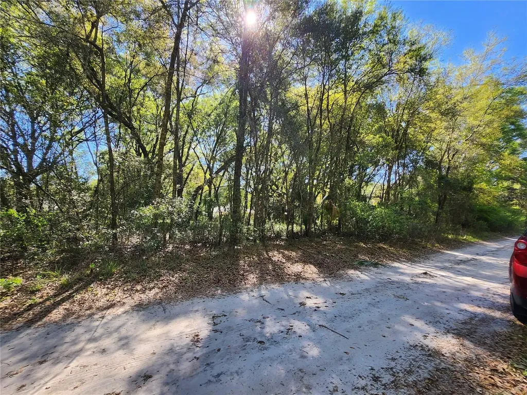 Tbd SE 36th Court Summerfield FL 34491