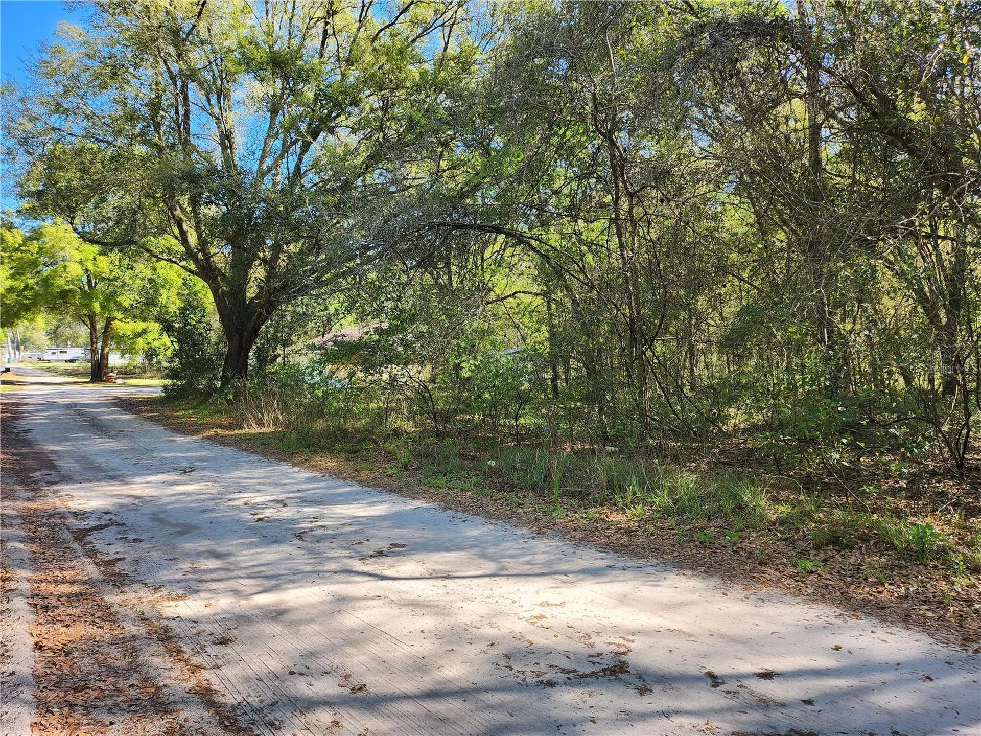 Tbd SE 36th Court Summerfield FL 34491