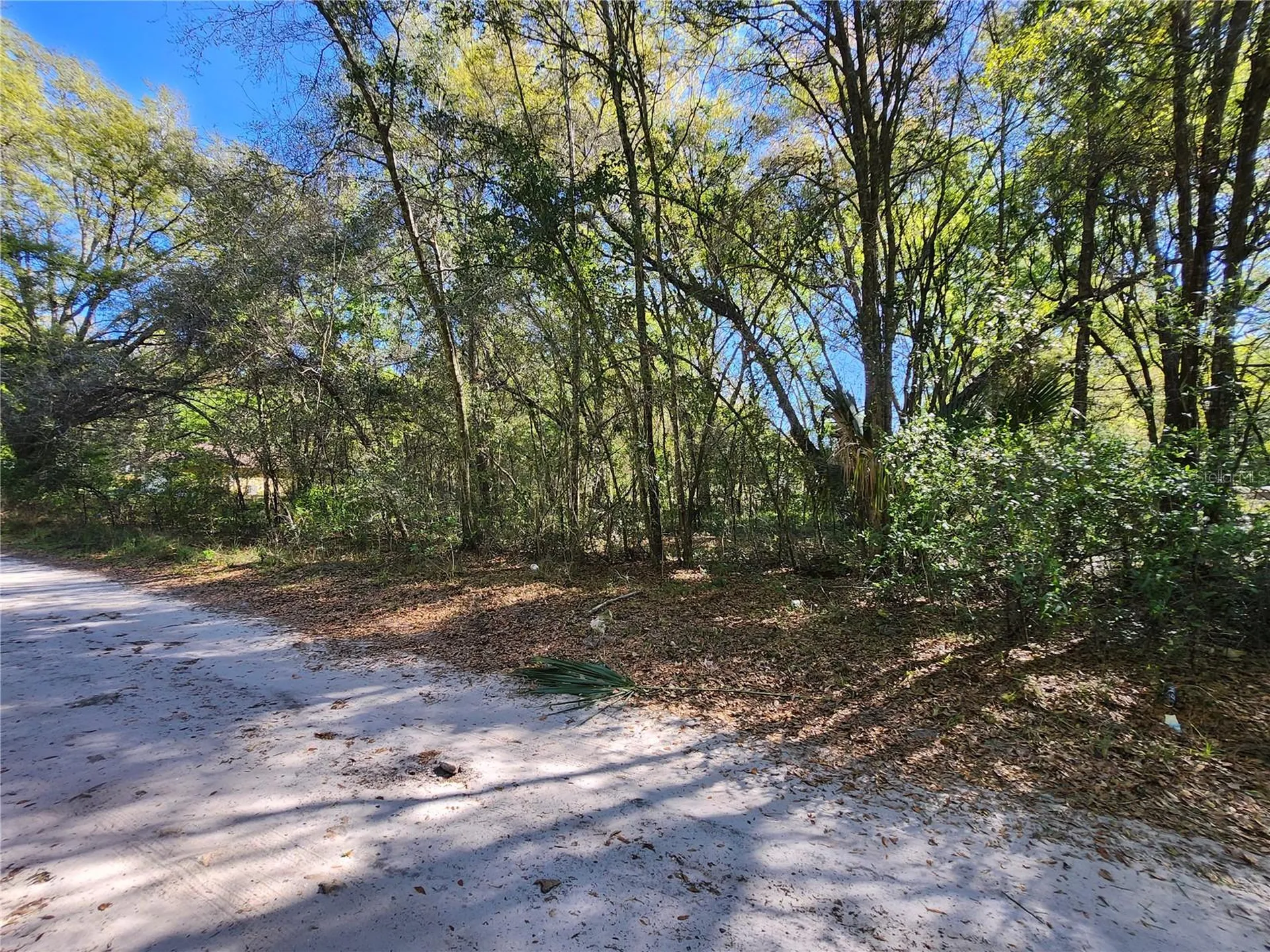 Tbd SE 36th Court Summerfield FL 34491