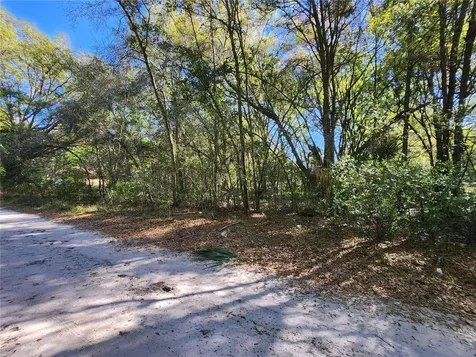 Tbd SE 36th Court Summerfield FL 34491