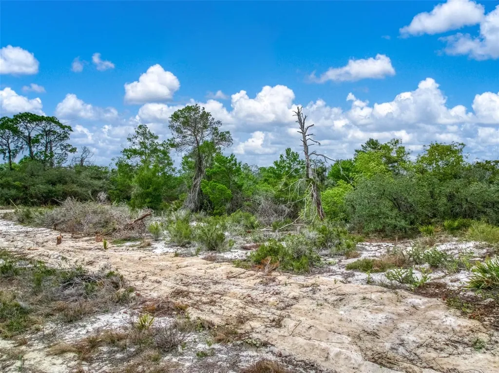 143 Patton Avenue Lake Placid FL 33852