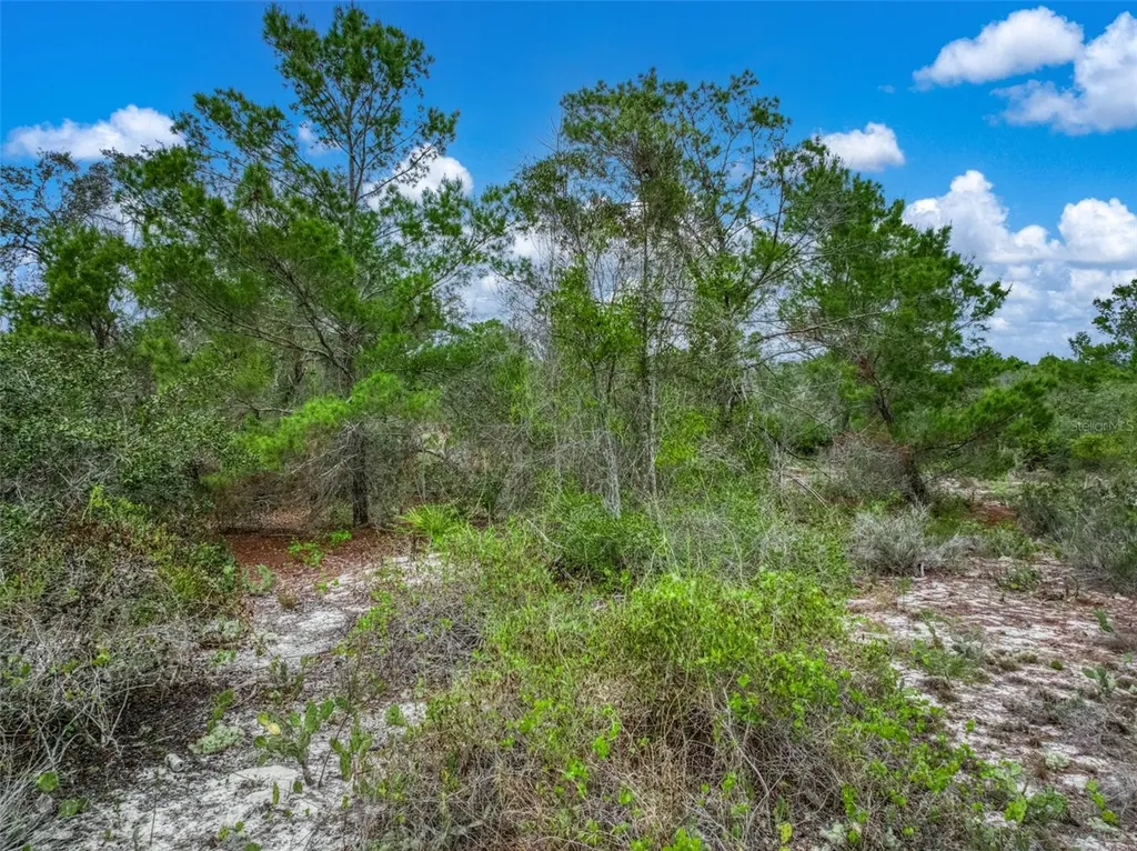143 Patton Avenue Lake Placid FL 33852
