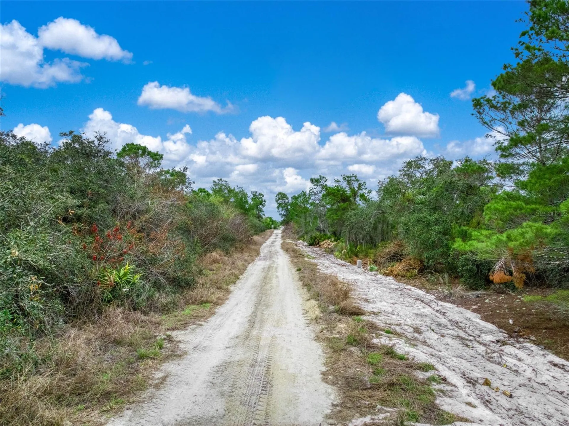 143 Patton Avenue Lake Placid FL 33852