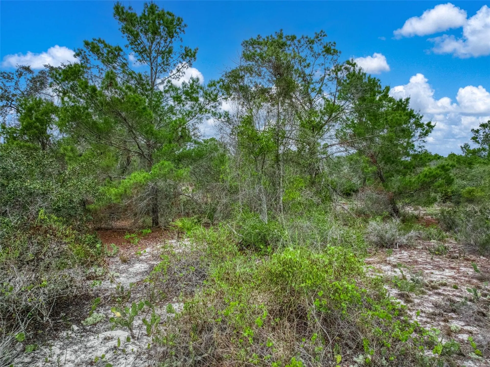 143 Patton Avenue Lake Placid FL 33852