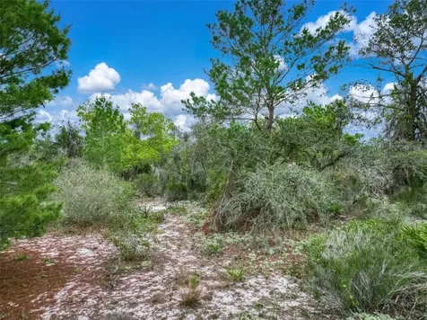 143 Patton Avenue Lake Placid FL 33852