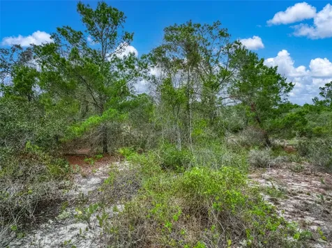 143 Patton Avenue Lake Placid FL 33852
