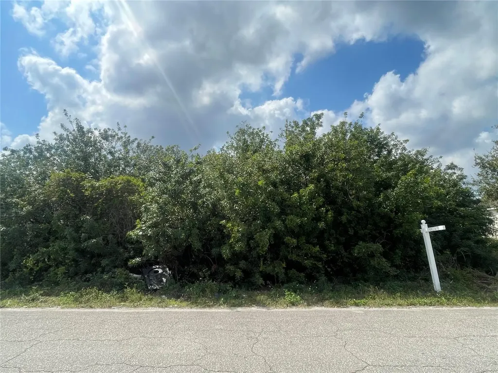 1017/1019 Albany Avenue Lehigh Acres FL 33971
