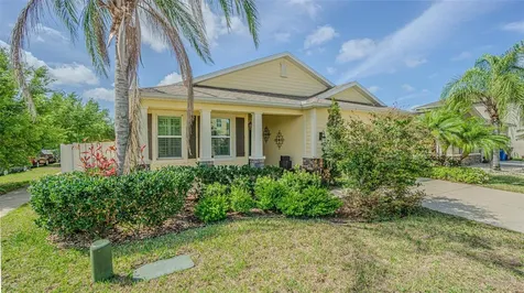 10627 Scenic Hollow Drive Riverview FL 33578
