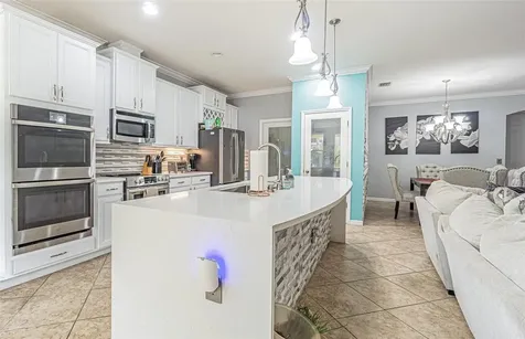 10627 Scenic Hollow Drive Riverview FL 33578