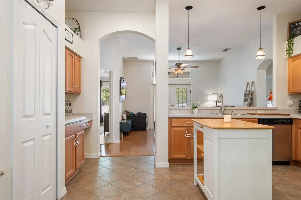 25249 Ironwedge Drive Sorrento FL 32776