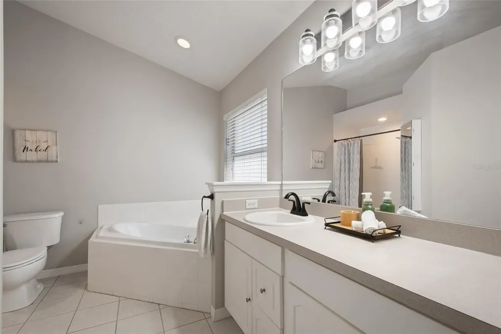25249 Ironwedge Drive Sorrento FL 32776