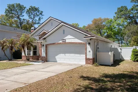 25249 Ironwedge Drive Sorrento FL 32776