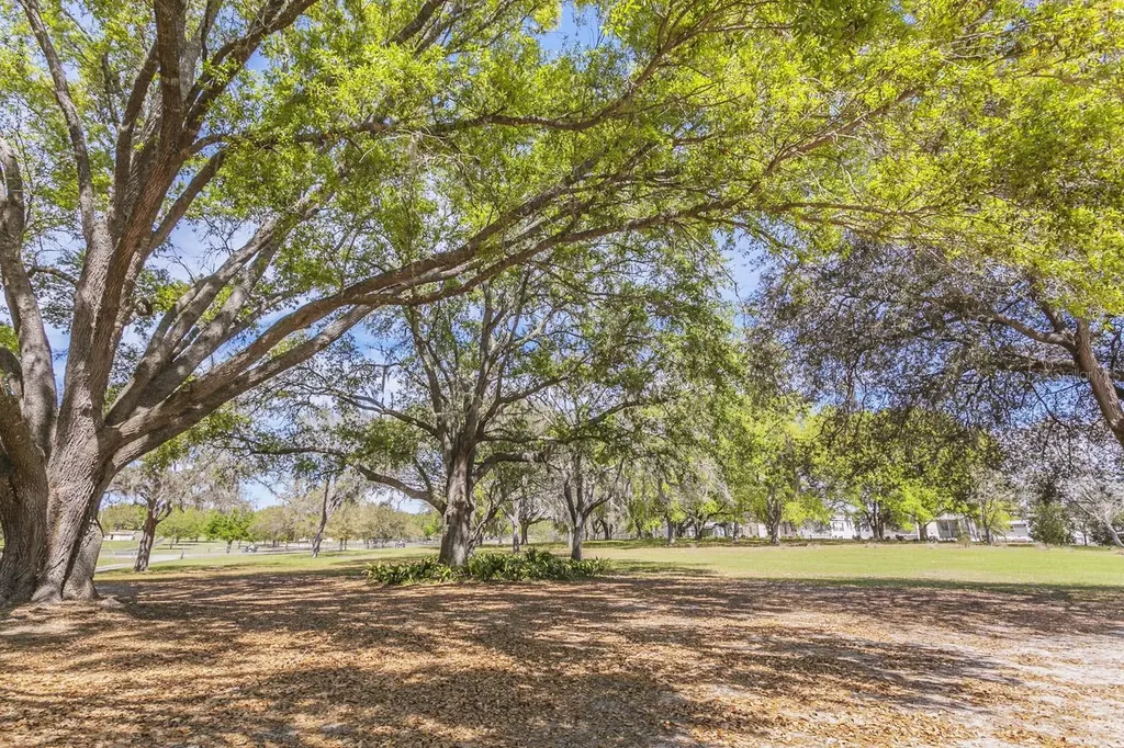 1824 Marion County Road Weirsdale FL 32195