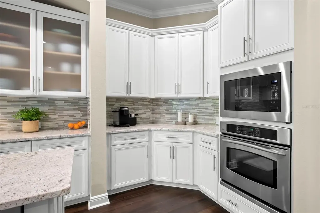 12003 San Chaliford Court Tampa FL 33626