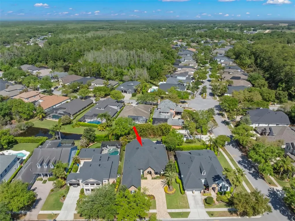 12003 San Chaliford Court Tampa FL 33626