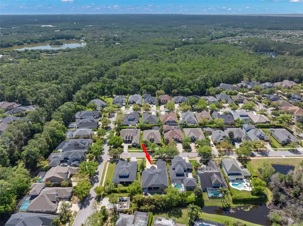 12003 San Chaliford Court Tampa FL 33626