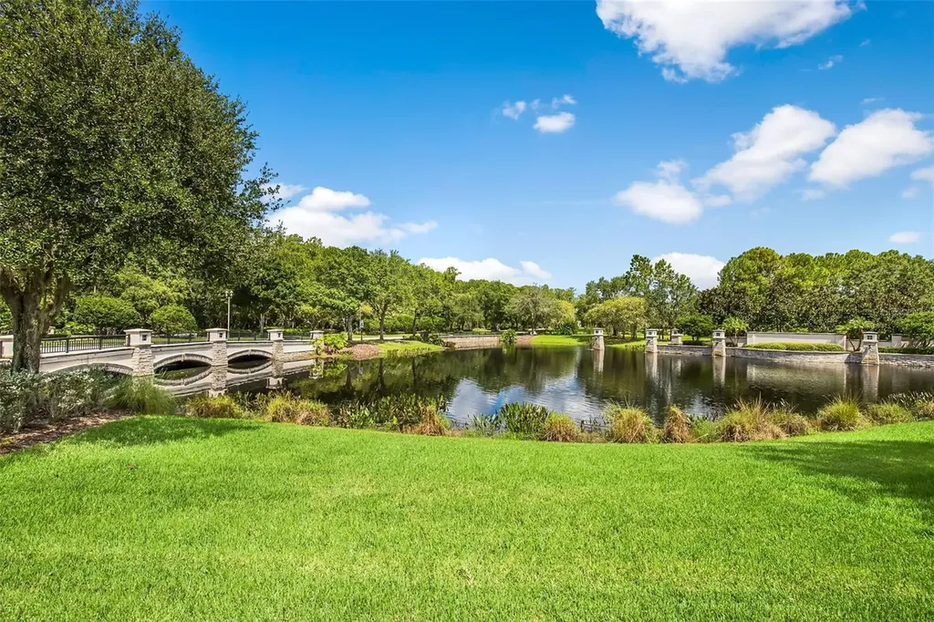 12003 San Chaliford Court Tampa FL 33626