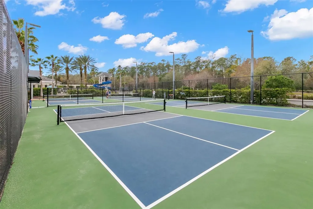 12003 San Chaliford Court Tampa FL 33626