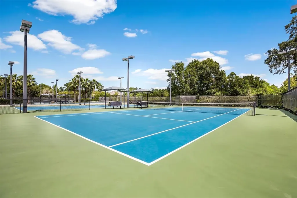 12003 San Chaliford Court Tampa FL 33626