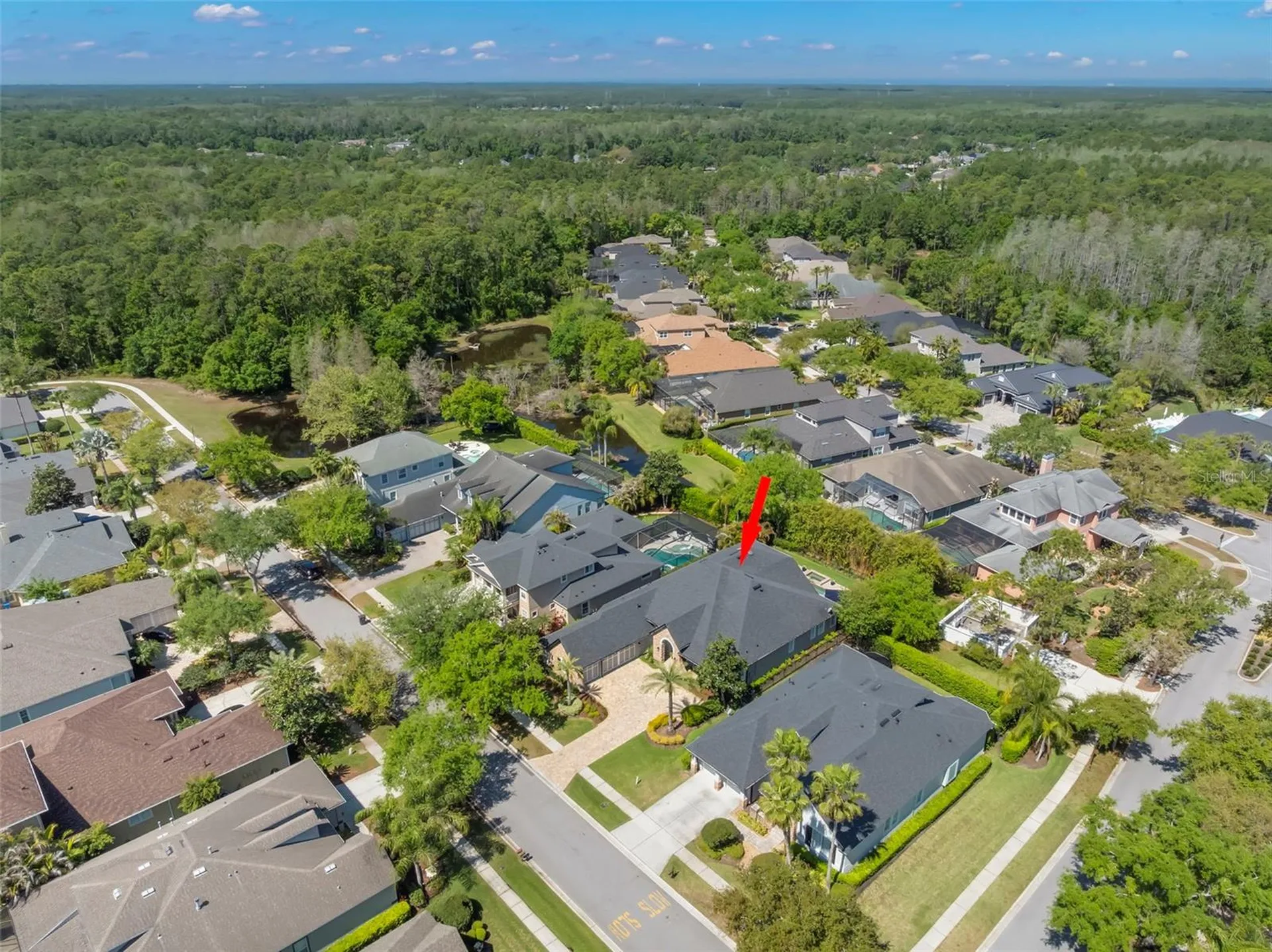 12003 San Chaliford Court Tampa FL 33626