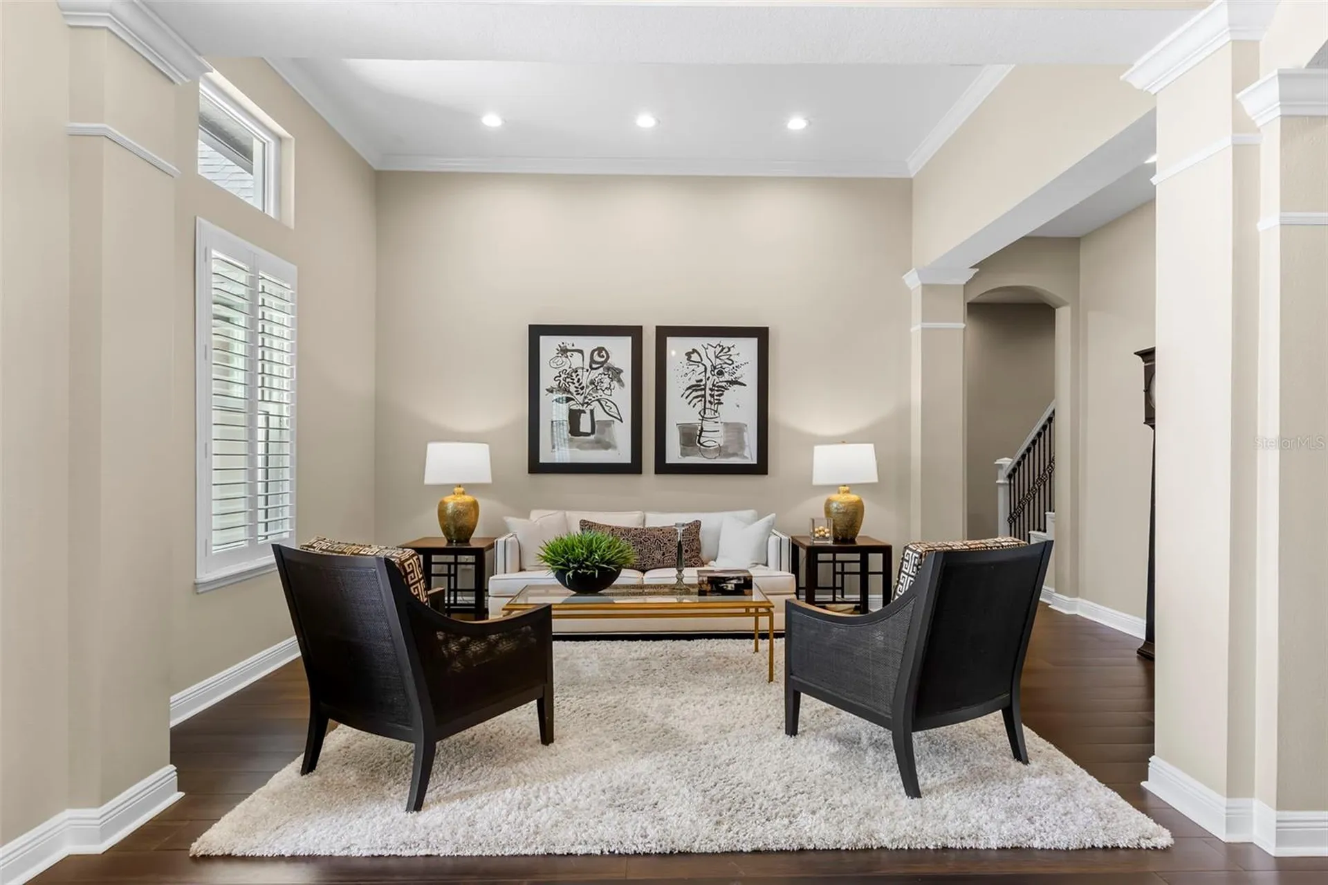 12003 San Chaliford Court Tampa FL 33626