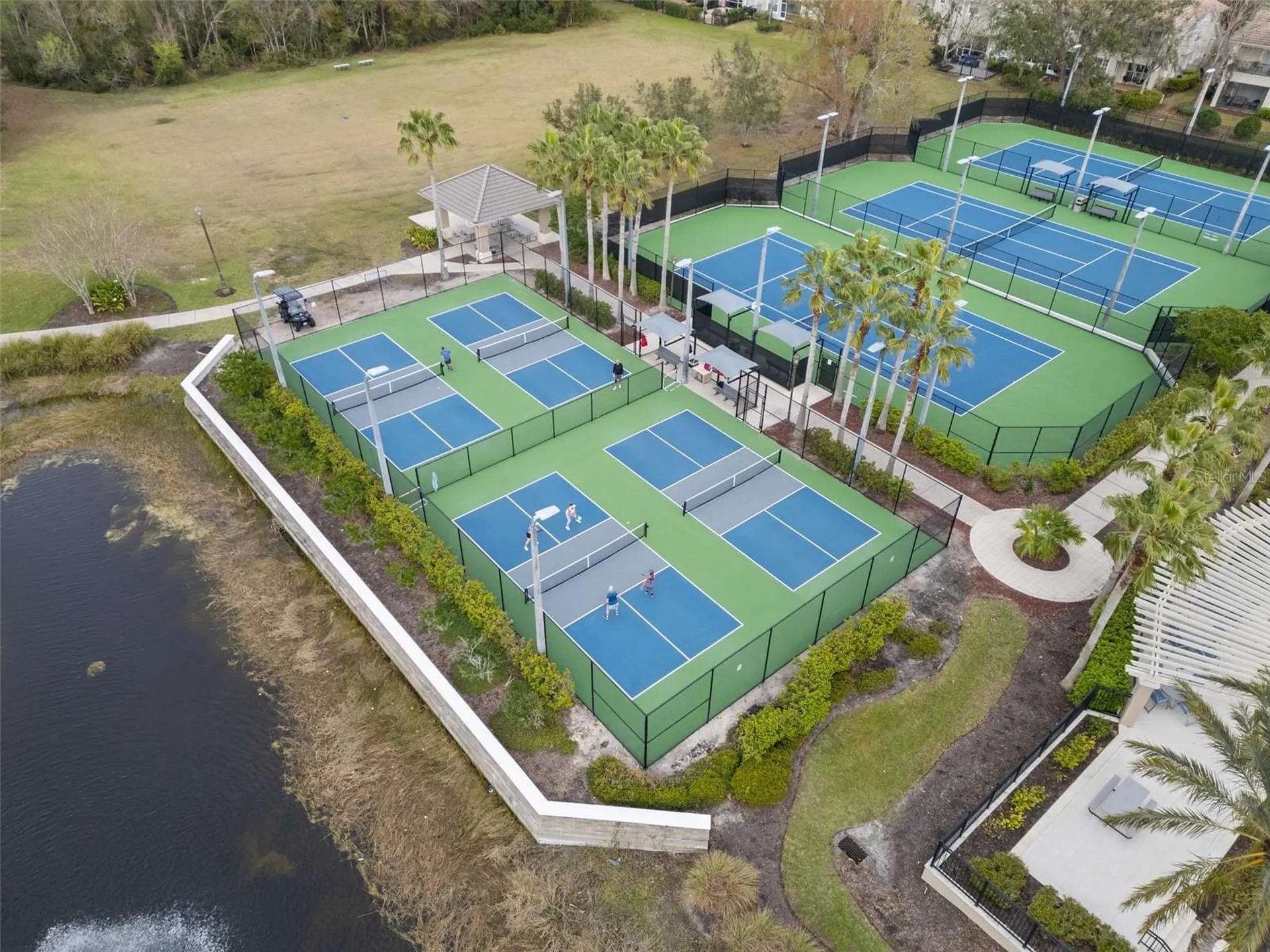 12003 San Chaliford Court Tampa FL 33626