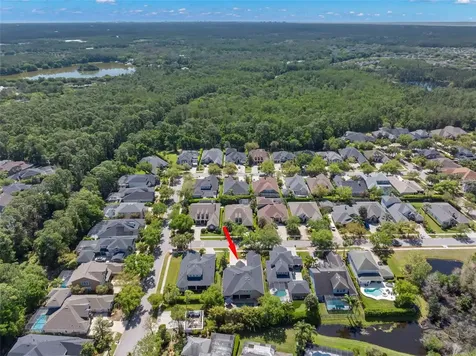 12003 San Chaliford Court Tampa FL 33626