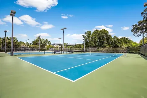 12003 San Chaliford Court Tampa FL 33626