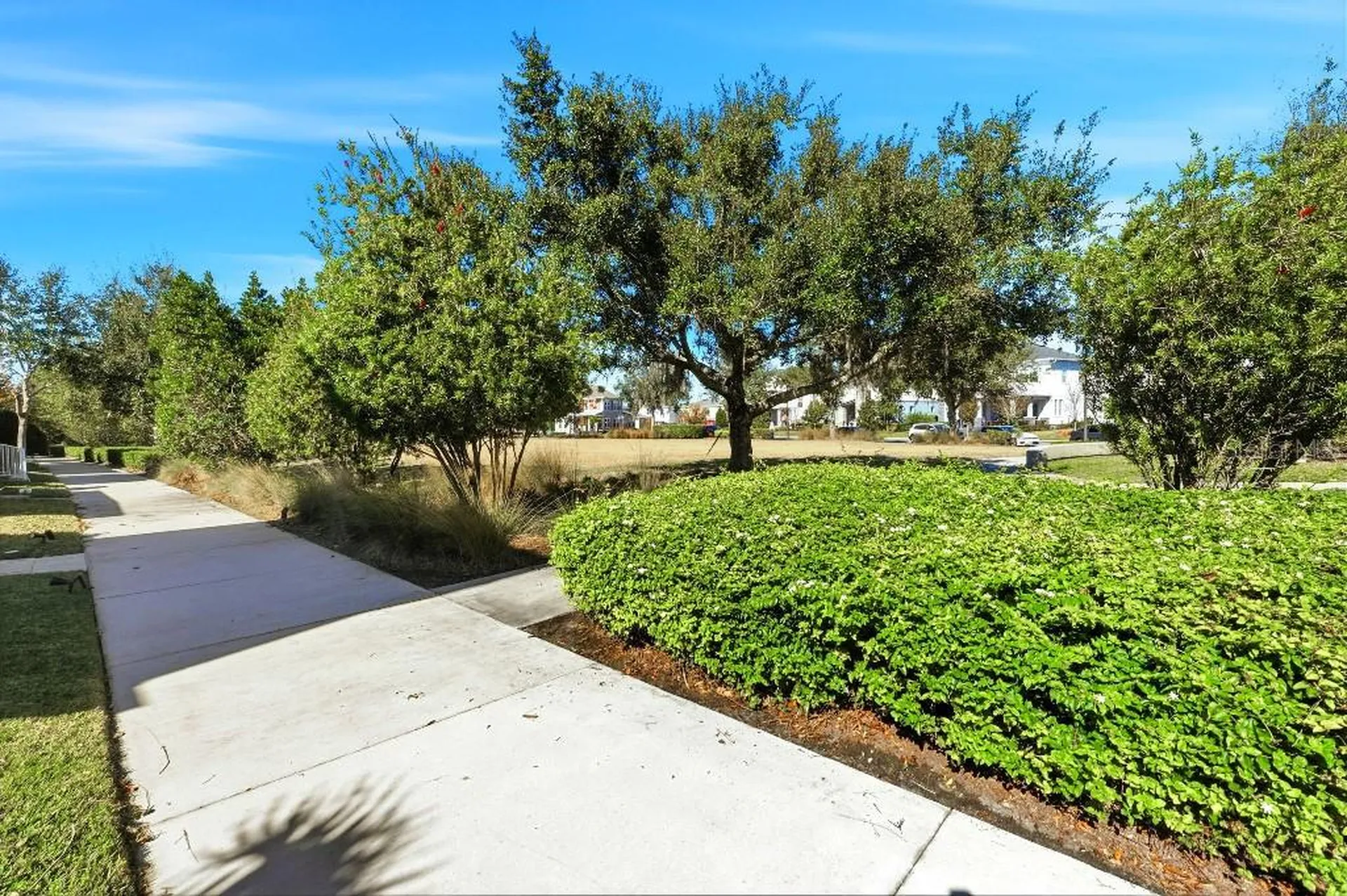 6955 Higgs Alley Orlando FL 32827
