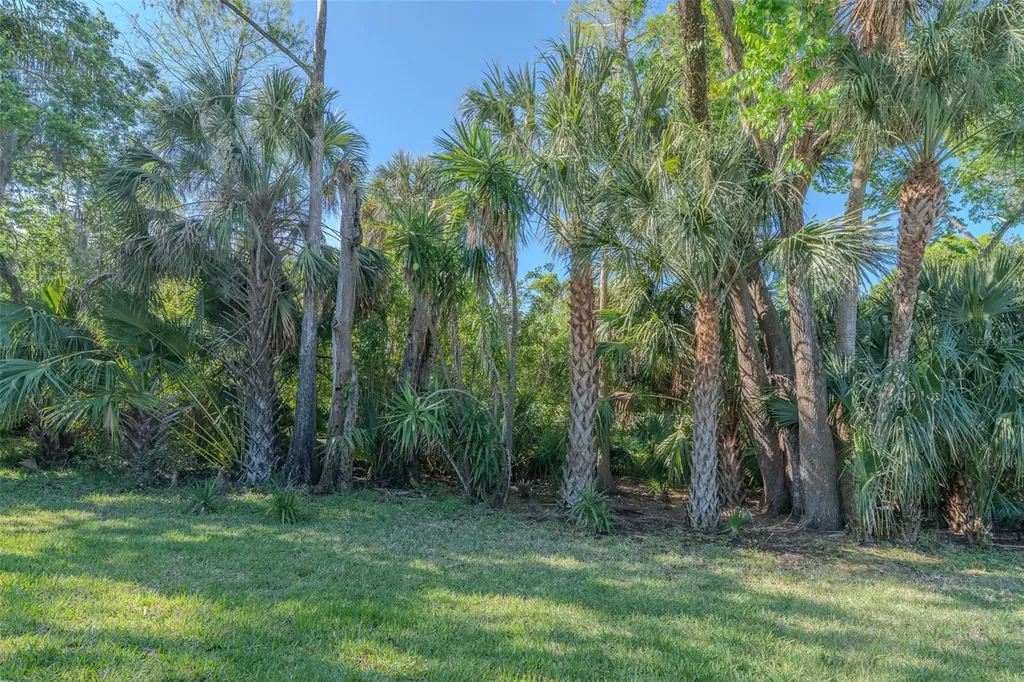 600 S Woodlands Drive Oldsmar FL 34677