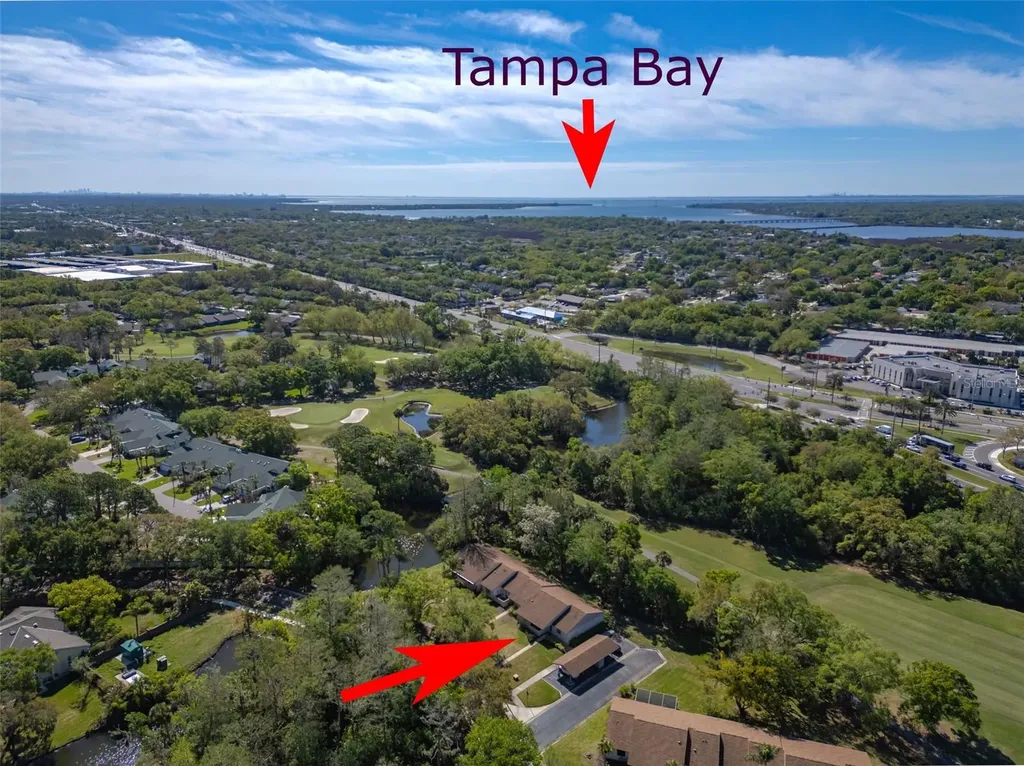 600 S Woodlands Drive Oldsmar FL 34677