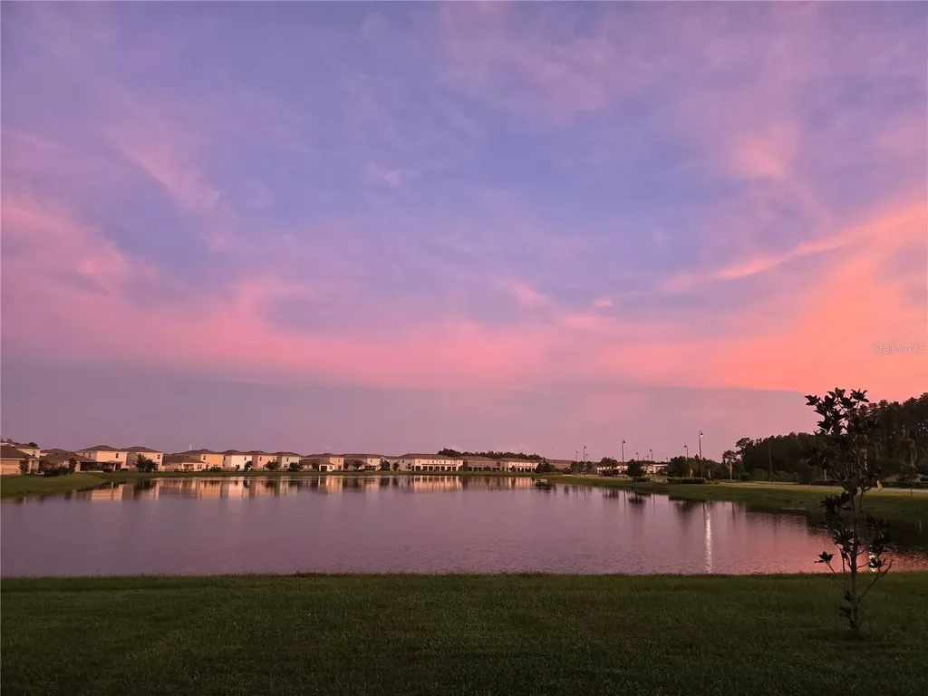 15982 Weathered Windmill Terrace Odessa FL 33556