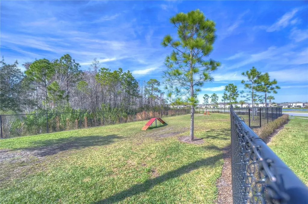 15982 Weathered Windmill Terrace Odessa FL 33556
