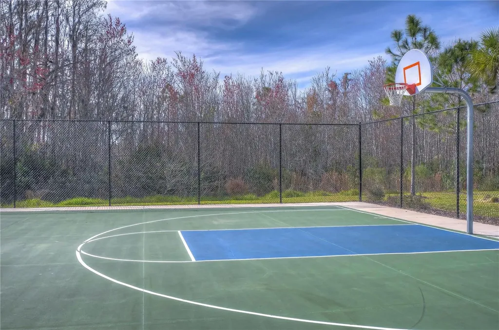 15982 Weathered Windmill Terrace Odessa FL 33556
