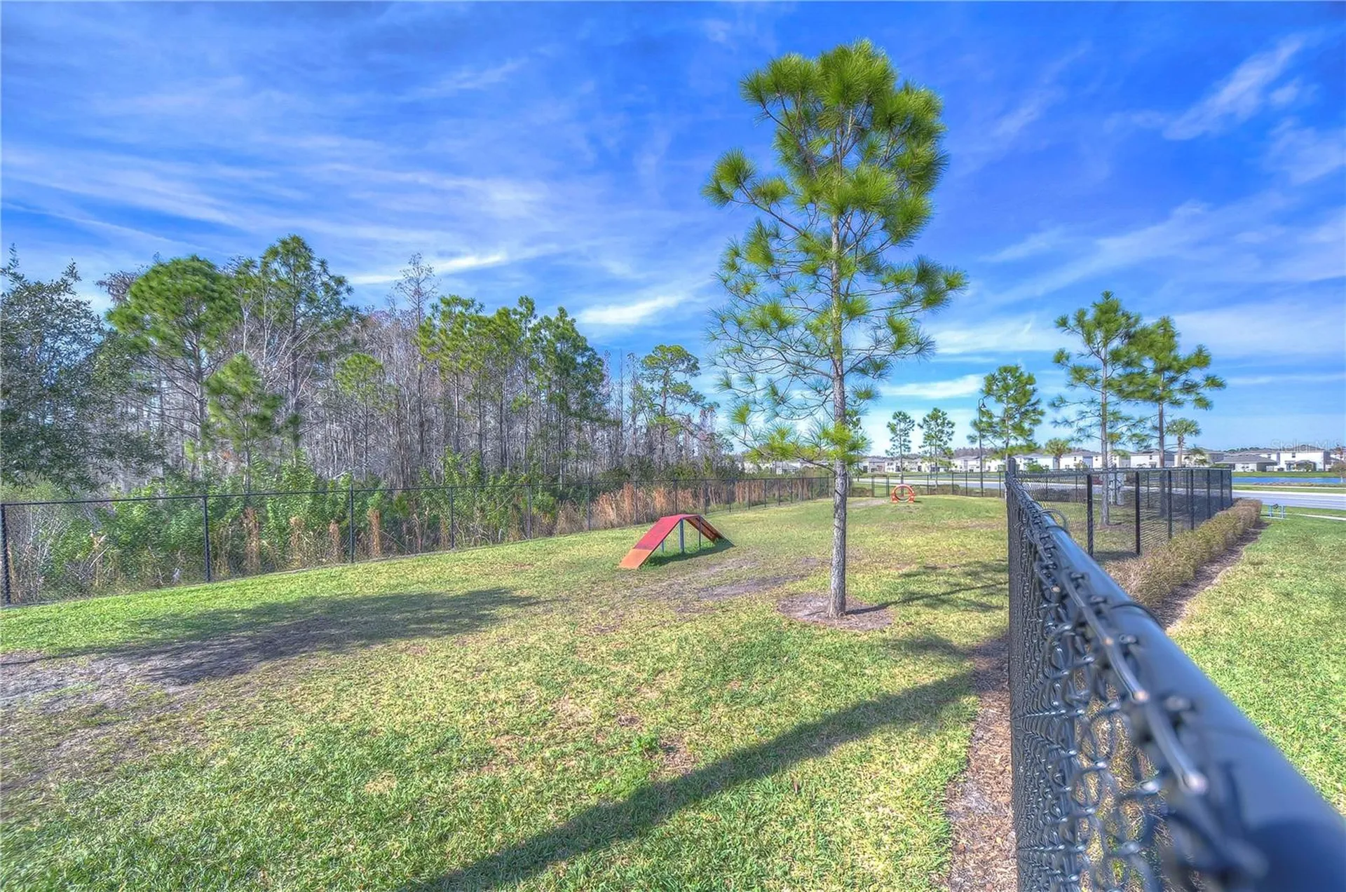 15982 Weathered Windmill Terrace Odessa FL 33556