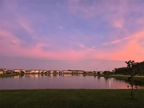 15982 Weathered Windmill Terrace Odessa FL 33556