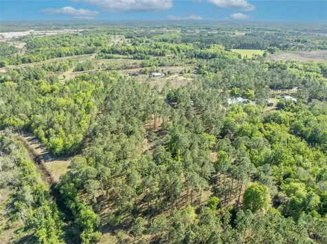 9535 Number Two Road Howey In The Hills FL 34737